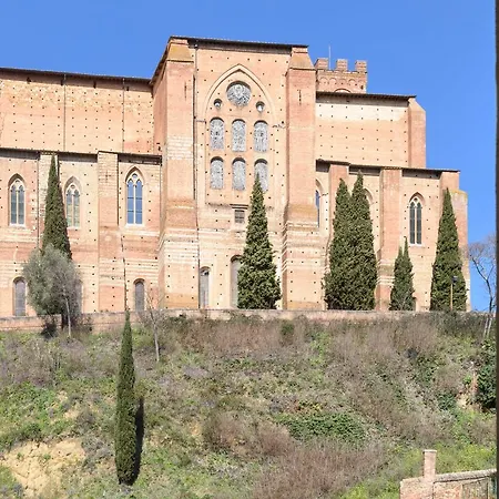 Vip Siena